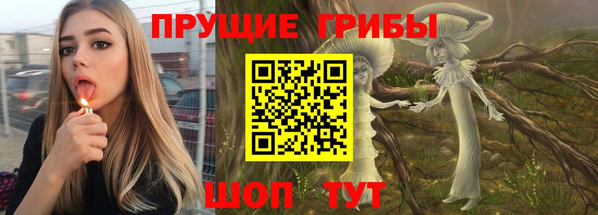 Мыски  Галлюциногенные грибы ЛСД  Вход с VPN 